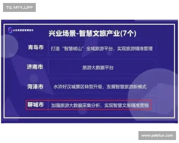 安联赞助商成功案例分析及其品牌战略价值探索