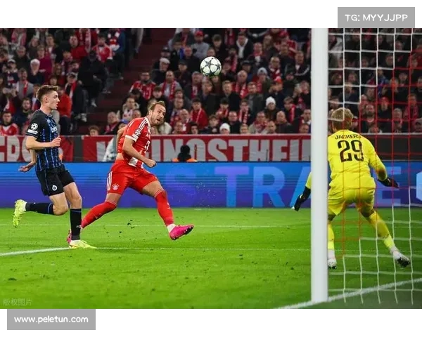 德甲其他球队何时才能挑战拜仁霸主地位实现崛起