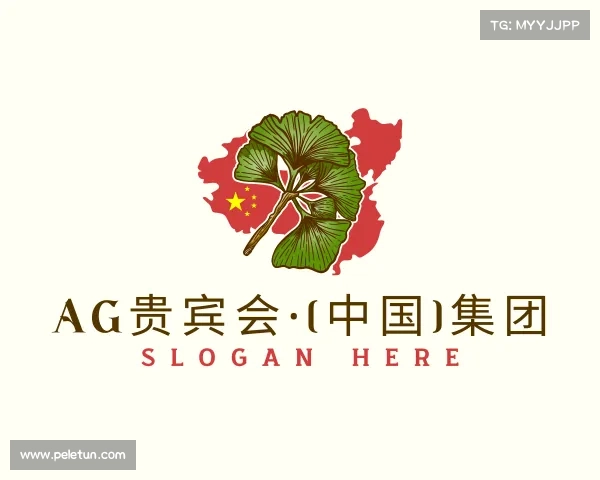 解读AG贵宾会·(中国)集团